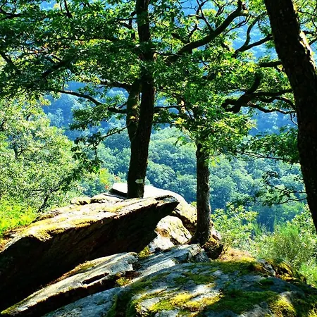 Les Pins Alpesi faház